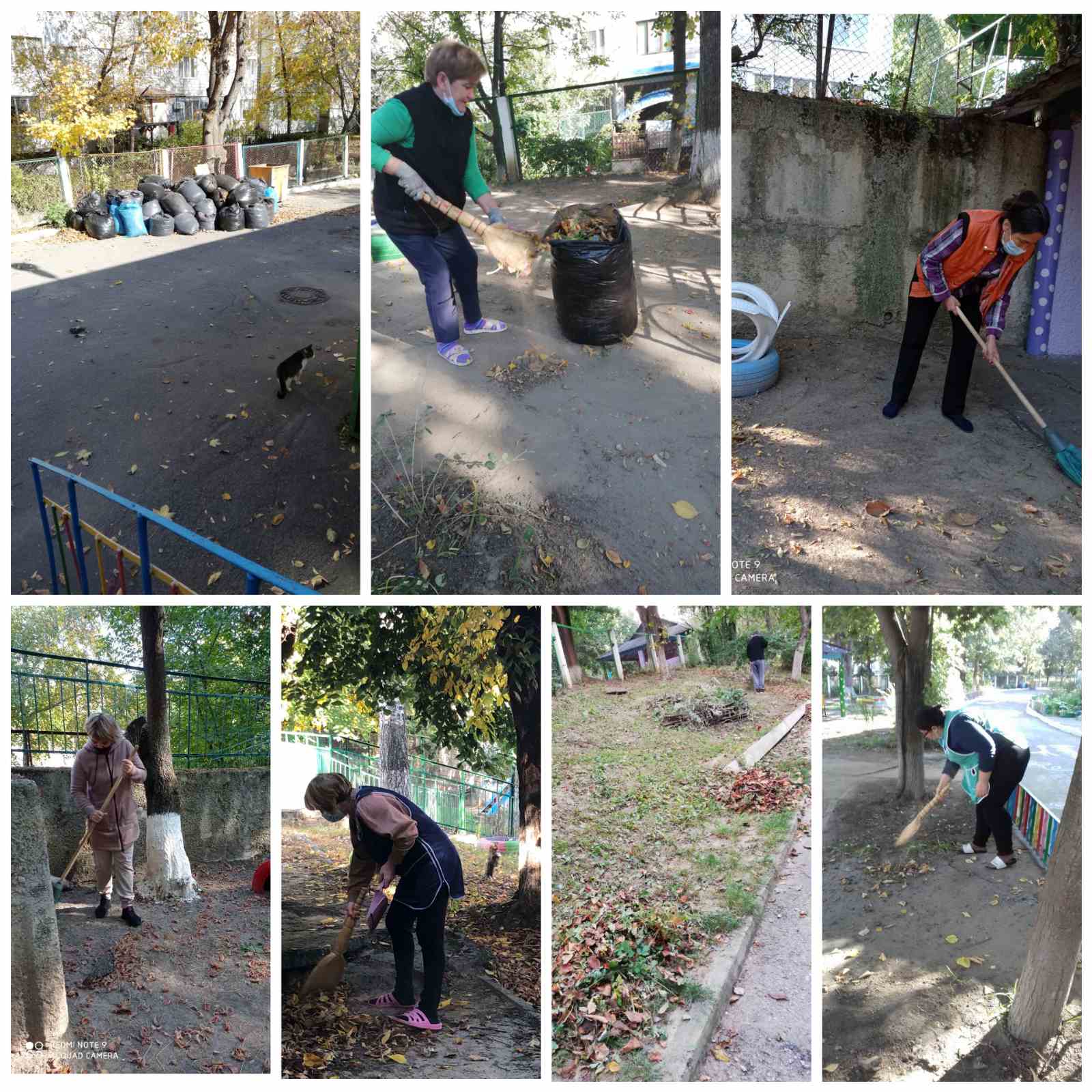 Actiuni de salubrizare a teritoriului IET nr.52